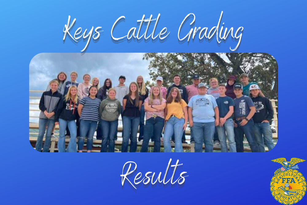 Keys Cattle Grading Contest