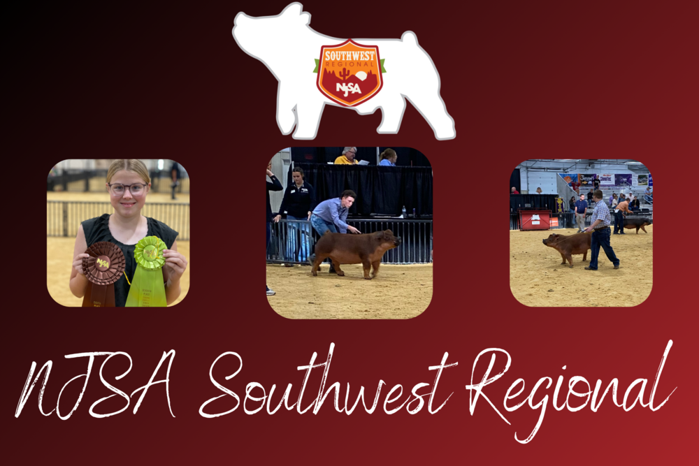 NJSA Southwest Regional