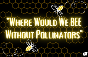 2020 NACD Poster Contest Results