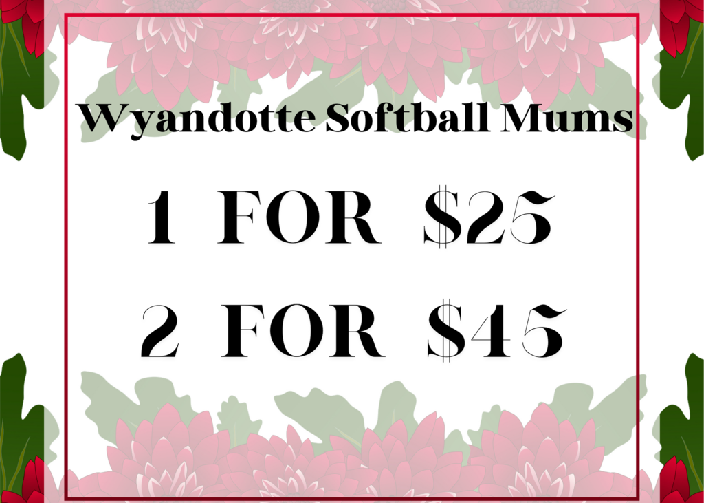 Wyandotte Softball Mum Fundraiser!